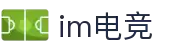IM(股份有限公司)电竞-电子竞技平台